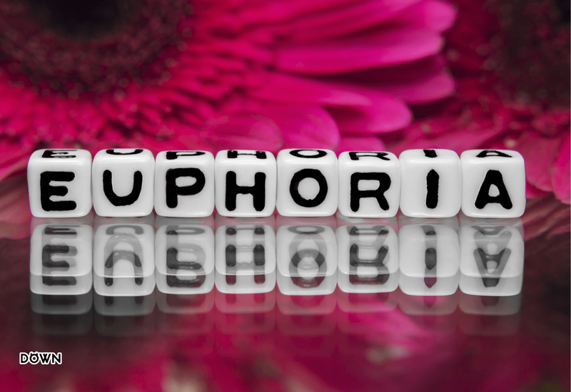 25 Quotes about Euphoria - Between Love And Toxicity