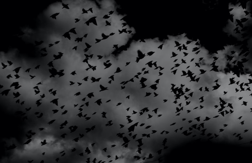 This image has an empty alt attribute; its file name is image-7-1024x651.png